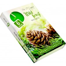 Свічка з ароматом Pako (6шт) Хвоя