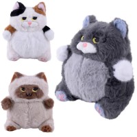 М'яка ігр. "Котик" 20см,3кольори №C6105(72) КІ