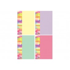 Зошит пруж. бок. А4 80арк. кліт. пласт. обкл №E20317/Economix/(4)(36)