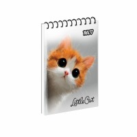Блокнот пруж. верх. А7 80арк. кліт. Cute cet №152554/Yes/(1)