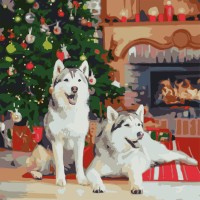 Картини по номерах "Хаскі біля каміну" 40х40см №FF-1004/Strateg/