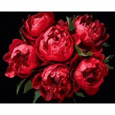 Картини по номерах "Яскраві півонії" 40х50см на чорному фоні №AH1215-11/Strateg/