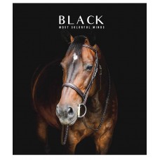 Зошит 96арк. кліт. Star Black classic (хлопч) УФ-лак 096-3388K(5)(60)