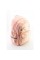 Рюкзак 2від.,3карм. 18" №8429-pink(20)