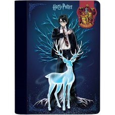 Блокнот A5 60арк. кліт. тв. обкл. Harry Potter з магнітною закладкою №HP25-192/Kite/(10)