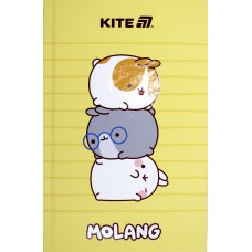 Блокнот А6 80арк. кліт. тв. обкл. "Molang" №ML25-199/Axent/