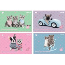 Альбом для малюв. на скобі 12 арк.софт тач + УФ лак "Studio Pets" №SP25-241/Kite/
