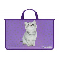 Портфель "Maxi" №MX30001-04 A4 пласт. на блиск.(30)