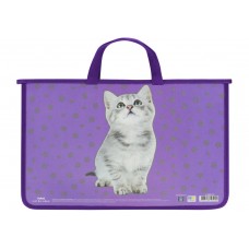 Портфель "Maxi" №MX30001-04 A4 пласт. на блиск.(30)