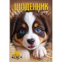 Щоденник шк. В5 №25100 40арк. CMYK,ВД-лак. скоба/Мандарин/(10)