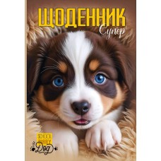 Щоденник шк. В5 №25100 40арк. CMYK,ВД-лак. скоба/Мандарин/(10)