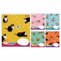 Зошит 12арк. кос.лін. 1В Pawsitively №768237(25)(500)