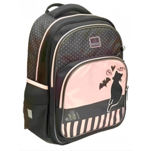 Ранець каркасний "School Case" Black Cat 2від. 3карм,39х29х16см №2521C/Class/(4)