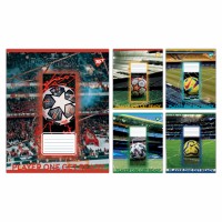 Зошит 18арк. кліт. YES Football stadium №767745(25)(400)