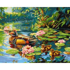 Картини по номерах акрил. "Качине сімейство" 40х50см №KHO6656/Ідейка/