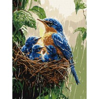Картини по номерах акрил. "Весняний дощ" 30х40см №KHO6741/Ідейка/