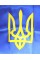 Прапор Україна з тризубом атлас 140х90см №782013(1)(10)