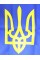 Прапор Україна з тризубом поліестер 140х90см №782009(1)(10)