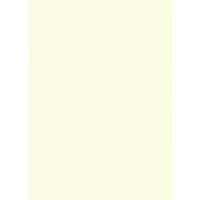 Папір кольор. А4 80г/м паст. Rey Adagio  Ivory 93 (слонова кістка)(500)(2500)