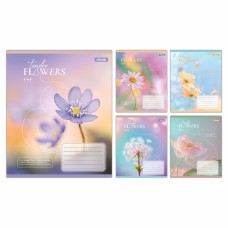 Зошит 24арк. кліт. 1В Tender Flowers №768076(20)(320)