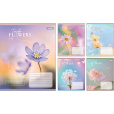 Зошит 24арк. лін. 1В Tender Flowers №768077(20)(320)