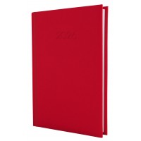 Ежедневник A5 Economix датированный 2026 Satin красный E21612-03  