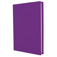 Ежедневник A5 Economix датированный 2026 Satin фиолетовый E21612-12  