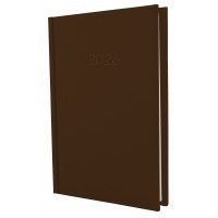 Ежедневник A5 Economix датированный 2026 Satin коричневый E21612-07  