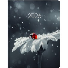 Щоден. A5 "Economix" дат2026 №E21899(20)