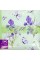 Фотоальбом "EVG" №BKM46200 10х15х200 Violet Spring