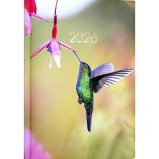 Щоден. A5 "Economix" дат2026 №E21870(20)