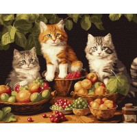 Картини по номерах акрил. Котики і фрукти 40х50см KHO6586/Ідейка/
