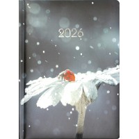 Щоден. A5 "Economix" дат2026 №E21899(20)