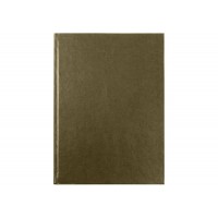 Зошит А4 96арк. кліт. тв.обкл. "Атлас" бронза №E21947-15/Economix/(5)(20)