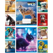 Зошит 24арк. лін. /ТВ/ "Мікс 1" №ТА62300(20)(320)