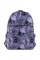 Рюкзак "GoPack" Education Teens 1від.,3карм. 188M-2 №GO26-188M-2(10)