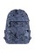 Рюкзак "GoPack" Education Teens 1від.,3карм. 188M-3 №GO26-188M-3(10)