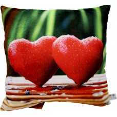 М'яка ігр. "Подушка з принтом Завжди разом 2" 28х10х28 №00387-53(5)