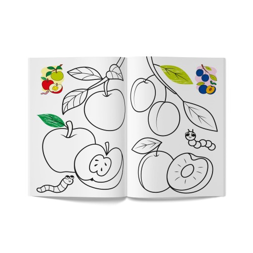 Книга А5 "Кольорованка. Фрукти" №6246/Кристал Бук/(50)