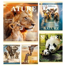 Зошит 48арк. кліт. /ТВ/ "Авто" №ТА61500(10)(200)