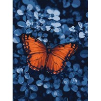 Картини по номерах акрил. "Світло серед темряви" 30х40см №KHO6733/Ідейка/