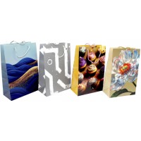 Пакет подарочный 23х32см (10) LL-1