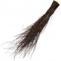 Веник березовый