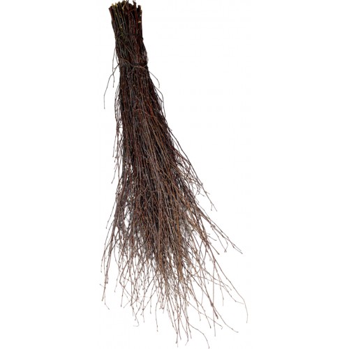 Веник березовый