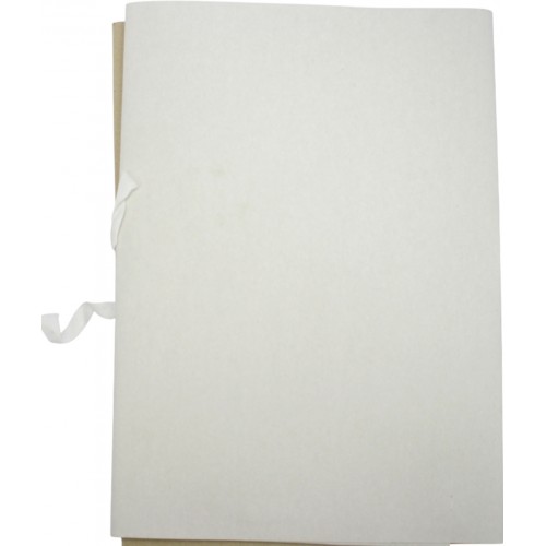 Папка на зав'язках А4 230г/м картон. №00133 /Фолдер/(50)