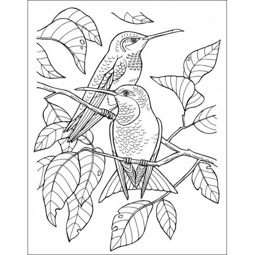 Книжка А4 "Велика книга розмальовок : Дівчатка та квіти" №4219/Ранок/(10)