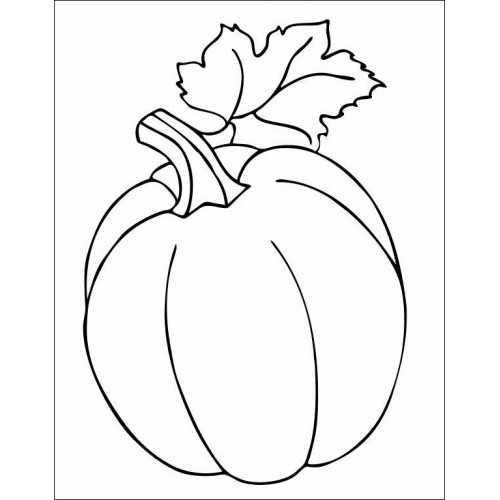 Книжка А4 "Велика книга розмальовок : Для малюків" №1126/Ранок/(10)