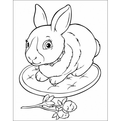 Книжка А4 "Велика книга розмальовок : Для малюків" №1126/Ранок/(10)