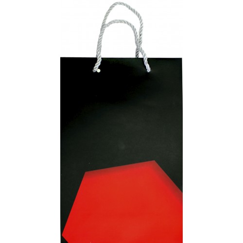 Пакет подарунковий папер. 17,5х7,5х25,5см,4 види №P-M005/461511/Лідер/(12)