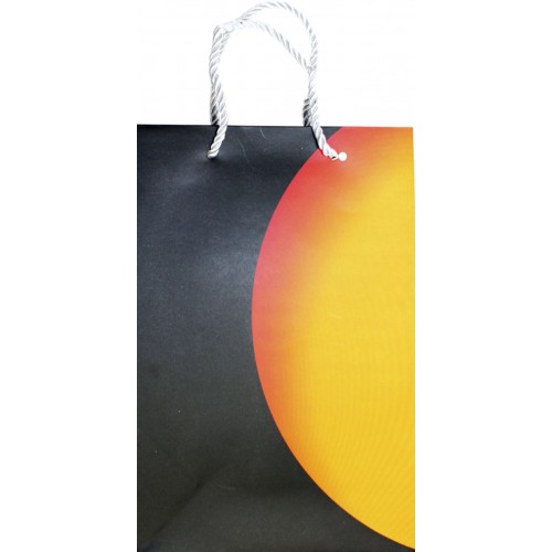 Пакет подарунковий папер. 17,5х7,5х25,5см,4 види №P-M005/461511/Лідер/(12)